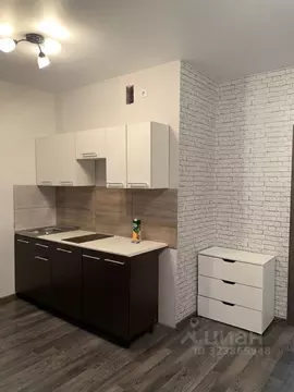 Студия Свердловская область, Екатеринбург ул. Рябинина, 18/3 (28.0 м)