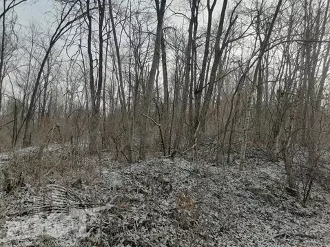 Участок в Приморский край, Артем Меркурий-1 садоводческое ...