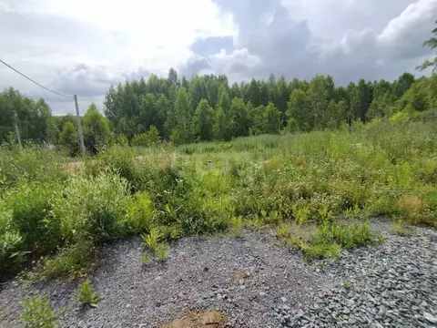 Участок в Новосибирская область, Новосибирск Зеленодолинская ул., ...