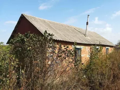 Дом в Белгородская область, Прохоровский район, с. Лучки ул. ...