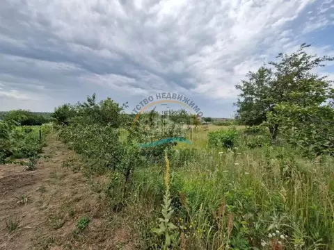 Участок в Краснодарский край, Анапа муниципальный округ, Уташ хут. ул. ...