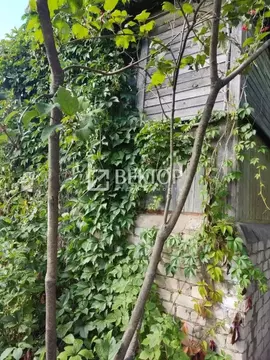 Дом в Костромская область, Кострома пос. Гари,  (20 м)