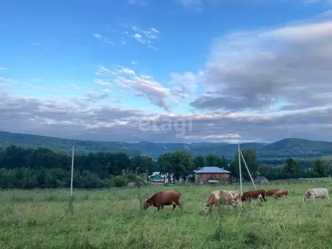 Участок в Башкортостан, Ишимбайский район, с. Макарово Больничная ул. ...