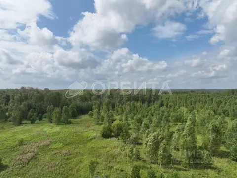 Участок в Тюменская область, Тюменский муниципальный округ, д. Елань, ...