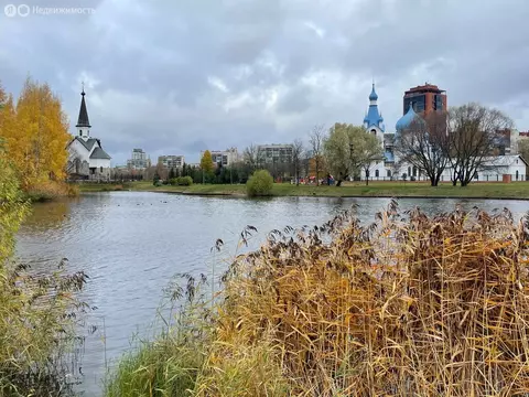 Квартира-студия: Санкт-Петербург, Пулковское шоссе, 14с6 (24.4 м)