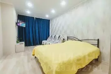 1-к кв. Хакасия, Абакан ул. Тельмана, 159 (33.0 м)