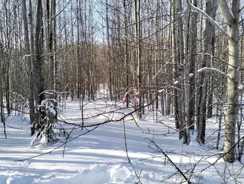 Участок в Ханты-Мансийский АО, Ханты-Мансийск Учитель СОТ,  (10.3 ...