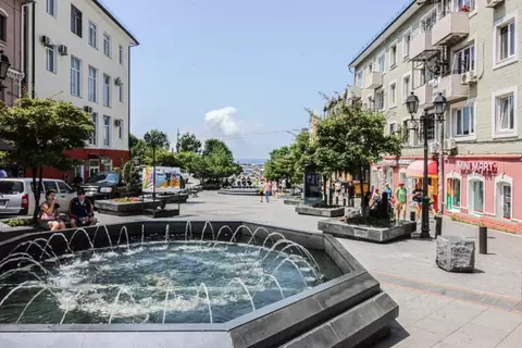 2-к кв. Приморский край, Владивосток Семеновская ул., 8Б (45.0 м)