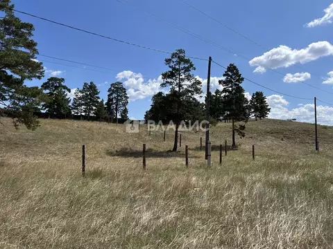 Участок в Бурятия, Тарбагатайский район, Саянтуйское с/пос, с. Нижний ...