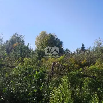 Участок в Новосибирская область, Новосибирск Тополь СНТ, 5-й сектор, ...