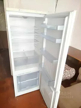 Студия Ростовская область, Волгодонск ул. Ленина, 85 (19.0 м)