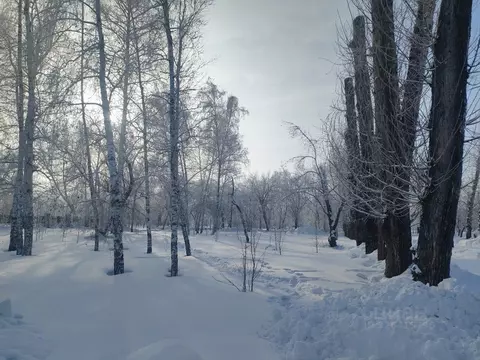 Участок в Алтайский край, Первомайский район, Звездный-2 СНТ  (10.0 ...