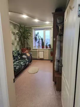 Комната Алтайский край, Барнаул ул. Шумакова, 33 (17.0 м)