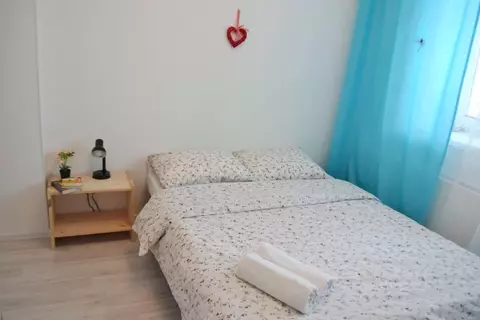 1-к кв. Московская область, Ногинск Богородский городской округ, ул. ...