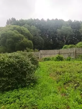 Участок в Новгородская область, Малая Вишера ул. Урицкого, 37 (7.0 ...