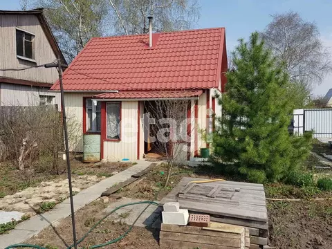 Дом в Тюменская область, Тюмень Три Сосны мкр, ул. Малиновая (45 м)