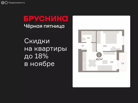 1-комнатная квартира: Новоселье, ЖК Брусника (43.7 м)