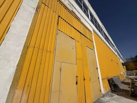 Помещение свободного назначения в Севастополь ул. Руднева, 2Б (745 м)