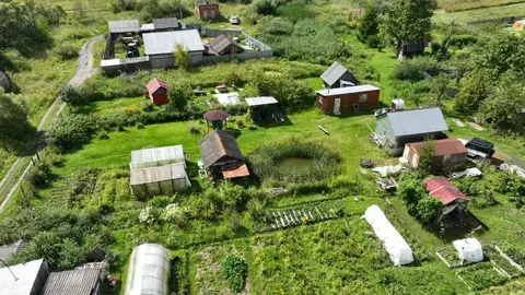 Участок в Московская область, Шатура муниципальный округ, с. Пустоша  ...