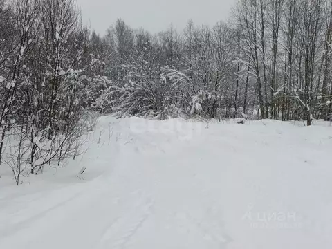 Участок в Ленинградская область, Киришский район, Будогощь пгт ул. ...