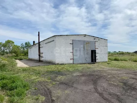 Помещение свободного назначения в Амурская область, с. Тамбовка ул. ...