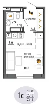 Студия Пермский край, Пермь Ижевская ул., 38 (23.3 м)