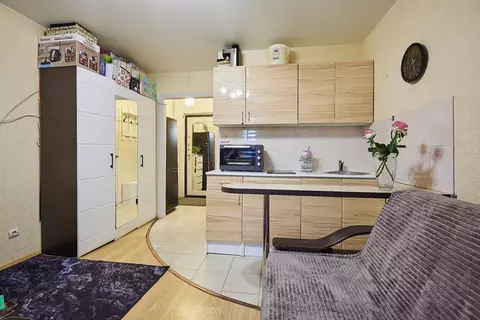 Студия Ленинградская область, Всеволожский район, пос. Бугры ул. ...