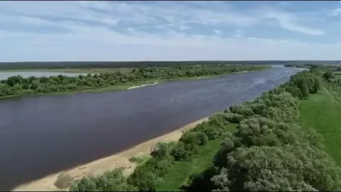 Участок в Тульская область, Ясногорский район, Иваньковское с/пос, д. ...