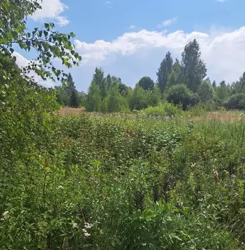 Участок в Московская область, Можайский муниципальный округ, д. ...