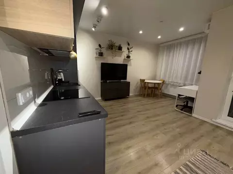 Студия Санкт-Петербург ул. Парфеновская, 11к1 (33.0 м)