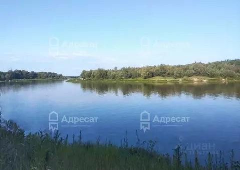 Участок в Волгоградская область, Иловлинский район, Новогригорьевское ...
