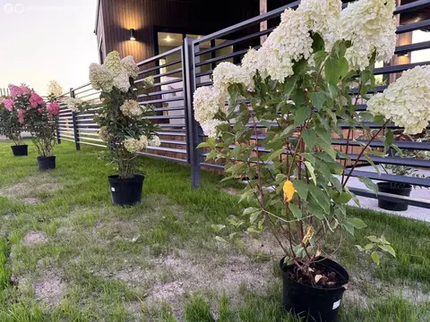 Участок в сельское поселение Малаховское, КП Нова лайф (13.76 м)