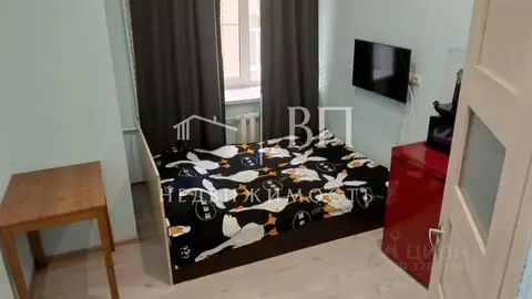 Студия Санкт-Петербург наб. Обводного Канала, 142/16Б (15.2 м)