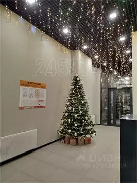 Студия Московская область, Мытищи просп. Астрахова, 1к3 (25.0 м)