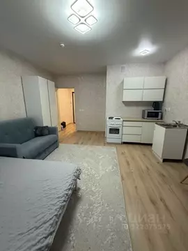 Студия Пермский край, Пермский муниципальный округ, с. Фролы ул. ...