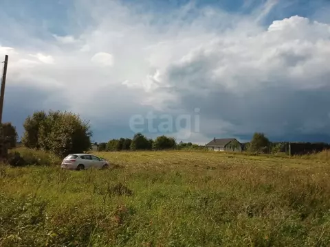 Участок в Ленинградская область, Волосовский район, Клопицкое с/пос, ...