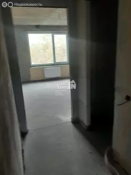 3-комнатная квартира: Санкт-Петербург, Калининский район, ...