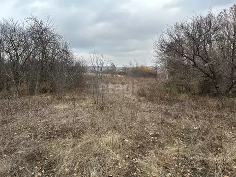 Участок в Белгородская область, Белгородский район, Новосадовское ...