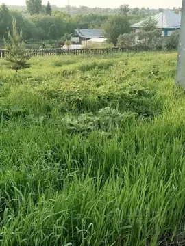 Участок в Кемеровская область, Кемерово Иртышская ул. (14.4 сот.)