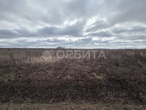 Участок в Тюменская область, Тюменский муниципальный округ, д. ...