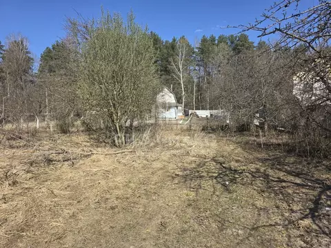 Участок в Брянская область, Брянск просп. Ленина (5.0 сот.)