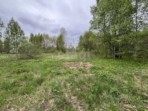 Дом в Тверская область, Калязинский муниципальный округ, д. Теляшовка  ...