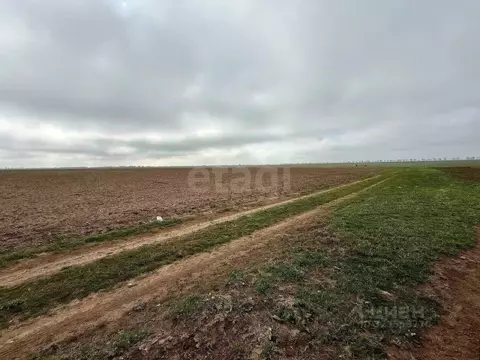 Участок в Крым, Сакский район, Штормовское с/пос, с. Приветное  (6.0 ...