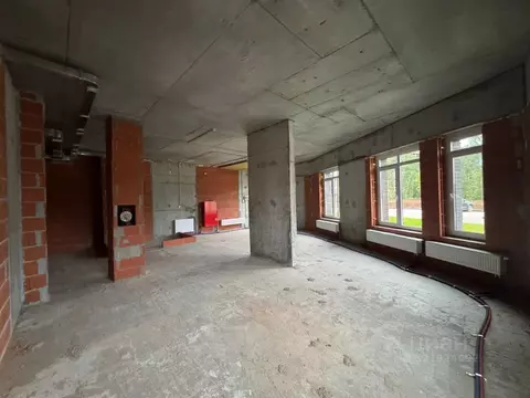 Помещение свободного назначения в Татарстан, Казань ул. Рауиса ...