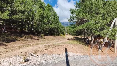 Участок в Крым, Ялта Ени-Дерекой мкр, 91 (4.7 сот.)