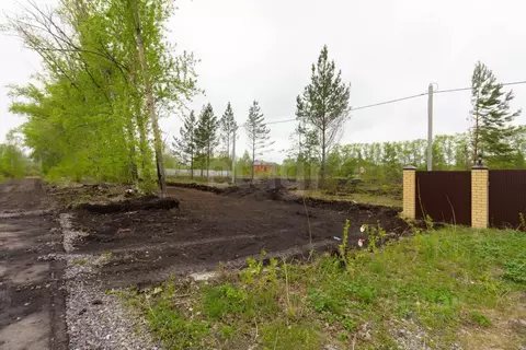 Участок в Тюменская область, Тюмень Звенящие Кедры Тюмени ДНП,  (7.0 ...