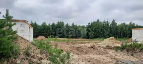 Участок в Тюменская область, Нижнетавдинский муниципальный округ, д. ...