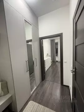 Студия Санкт-Петербург аллея Арцеуловская, 19 (25.1 м)