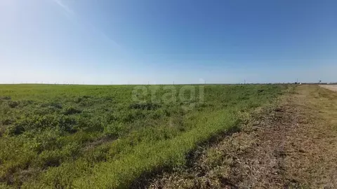 Участок в Крым, Ленинский район, с. Семисотка ул. Закияна (849.1 сот.)