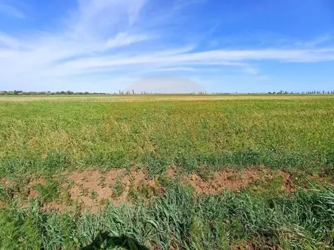 Участок в Крым, Сакский район, Ореховское с/пос, с. Чеботарка ул. ...